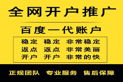谷歌竞价广告在电商行业的运用案例